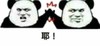 金馆长 逗比 搞笑 耶