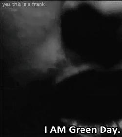 绿日 Green+Day 特写