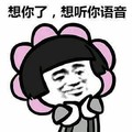 金馆长 蘑菇头 花朵 想你了 想听你语音