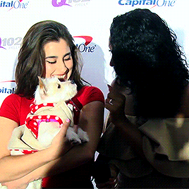 美女 笑容 狗狗 开心