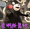 熊本熊 来啊尬舞吧 卖萌