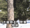 抱大腿 搞笑 萌宠 可爱