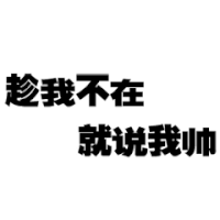弹跳文字 文字 趁我不在 就说我帅 自夸