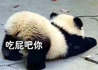 萌宠 熊猫 吃屁吧你 放屁 呆萌 可爱