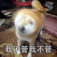 狗狗 呆萌 摇头 搞笑 雷人 斗图 我不管我不管