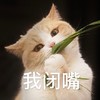 萌宠 猫星人 我闭嘴 不说了 呆萌 可爱