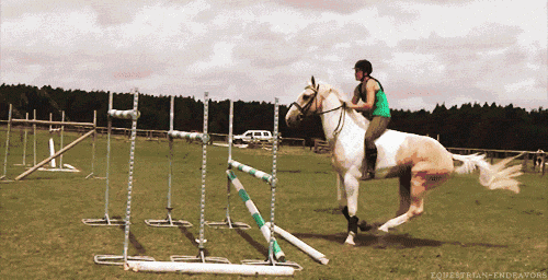 美女 骑马 跳跃 运动