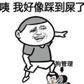 金馆长 滑稽 二货 咦我好像踩到屎了狗管理