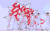 组合 齐心协力 祝贺