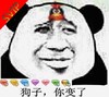 熊猫人 QQ会员 企鹅 钻石 狗子你变了