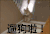 遛狗