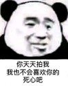 暴漫 熊猫头 你天天拍我 我也不会喜欢你的 搞怪 逗