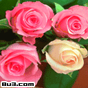 情人节 漂亮 美丽 卡通