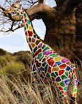 赶时髦的人 哇 艺术与放大器；设计 丰富多彩的 赃物 长颈鹿 长颈鹿的颜色 赃物的长颈鹿 长颈鹿多姿多彩
