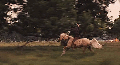 马 奔跑 大火 被解救的姜戈 杰米·福克斯