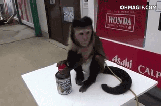 猴子 喝水 打开 人性