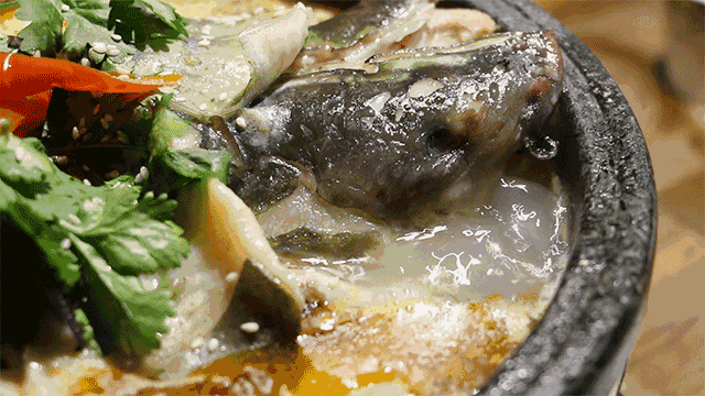 美食 沸腾 补气 营养 鱼汤