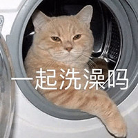 萌宠 猫星人 一起洗澡吗 好奇 呆萌 可爱