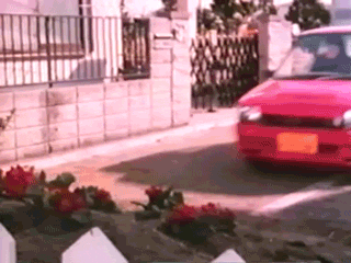 汽车 OC 玫瑰 特技 跳 追车 白色的栅栏 花坛 郊区