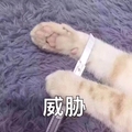 威胁   搞笑  猫爪  自杀  小刀