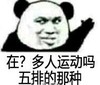 熊猫头 文字表情包 在多人运动吗五排的那种 搞笑 沙雕 魔性