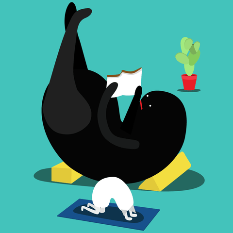 瑜伽 放松 看书  锻炼