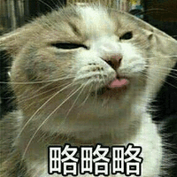 略略略 猫 搞怪