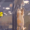 喵星人 搞笑 萌宠 可爱 猫咪