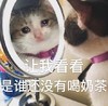 萌宠 喵星人 让我看看是谁没有喝奶茶 难受 搞怪 逗
