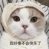 萌宠 猫星人 我好像不会快乐了 无奈 呆萌 可爱
