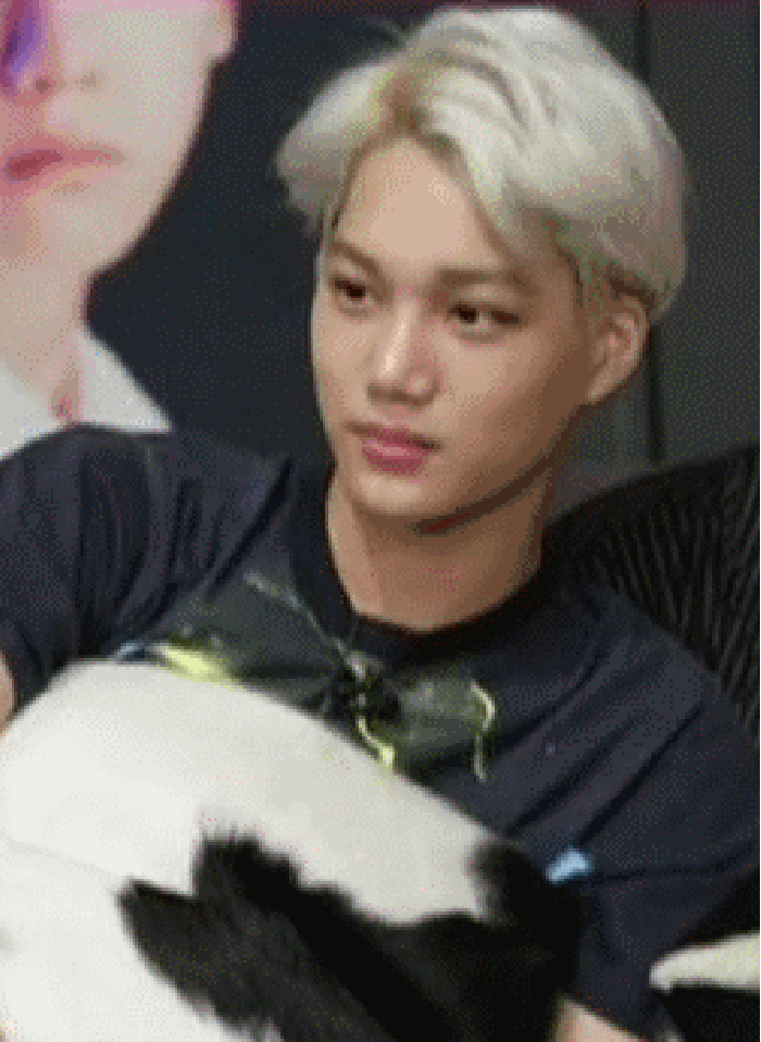 exo 开心 大笑 呆萌