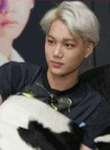 exo 开心 大笑 呆萌