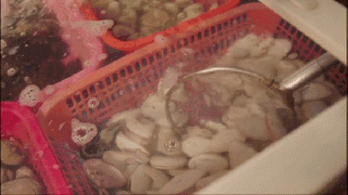 捞起 筐 海鲜 食物
