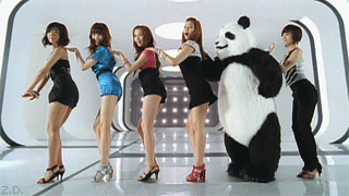 美女 熊猫 舞动 搞笑