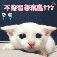 不是说带我赢？
