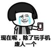 暴漫 文字表情包 现在呢除了玩手机废人一个 搞笑 逗 沙雕