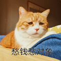 愁钱 愁对象 猫