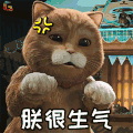 萌宠 猫 喵星人 朕很生气 soogif soogif出品