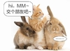 himm交个朋友吧 兔子 喵星人 萌萌哒