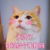 萌宠 猫星人 天冷了 可以给个抱抱吗 害羞 呆萌 可爱