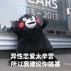 熊本熊 异性恋爱太辛苦 所以我建议你搞基 画面太美