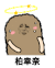 金馆长 猫屎 蒙圈 柏幸奈