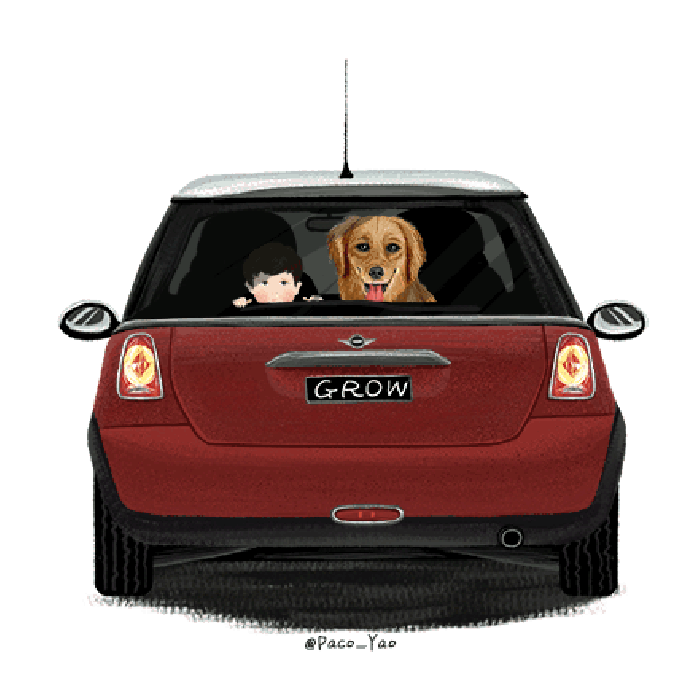 汽车 狗狗 开车 可爱