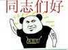 熊猫人 斗图 群聊 同志们好