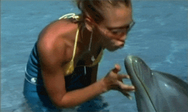 海豚 亲吻 可爱 吐舌头