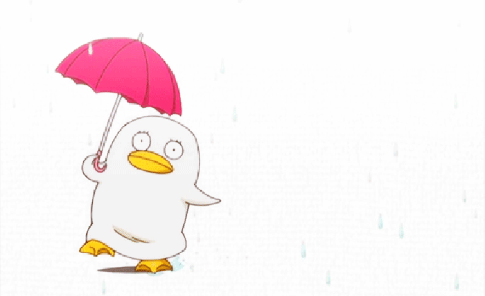 下雨 行走 小鸡 雨伞