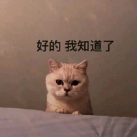萌宠 猫星人 好的 我知道了 搞怪 呆萌