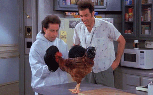 宋飞正传 公鸡  摇摆 Seinfeld