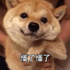 萌宠 汪星人 我懂了 你不用说了我明白 可爱 憨憨