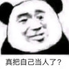 暴漫 熊猫头 真把自己当人了 生气 搞怪 逗